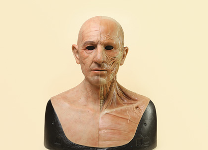 臉部去掉皮，漏出血管和肌肉的面具，比較另類嚇人